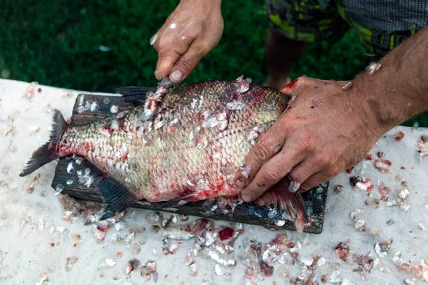 A man cleans freshwater fish scales with a big knife. Fisherman\'s prey