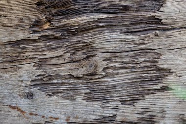 Metnin için kopyalama alanı olan ahşap paslı tahta