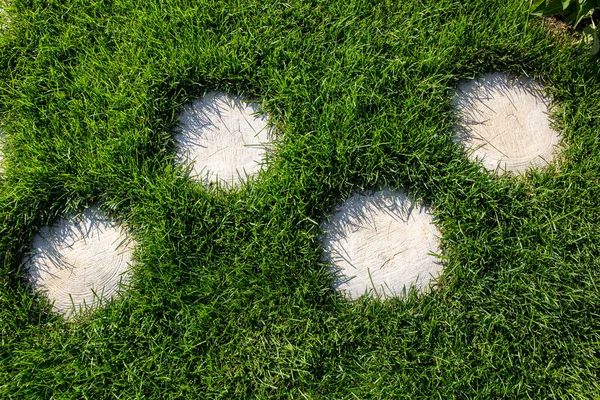 Yeşil çimenlikteki ağaçtan yapılmış patika. Bahçede dekoratif rota