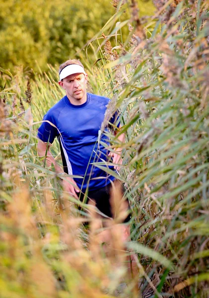 In het riet — Stockfoto