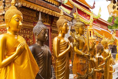 Altın Buda heykelleri bir tapınak DOI suthep içinde