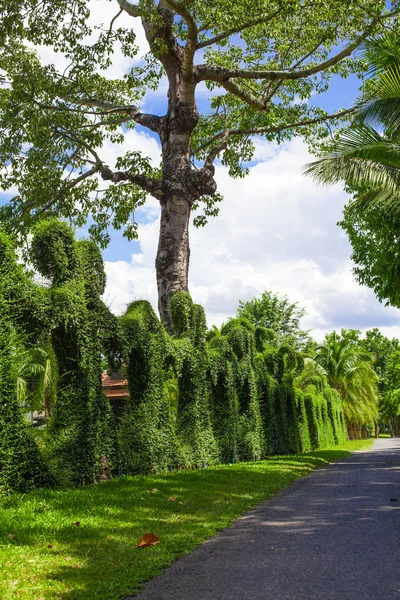 Walkway in the park — Stock Photo, Image