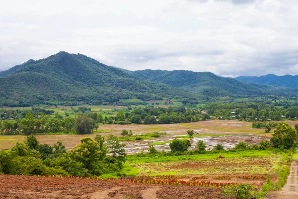 Mountain valley of northern Thailand in cloudy weather — Stock Photo, Image