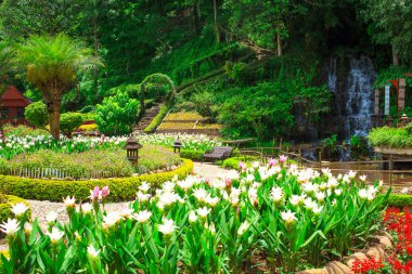 Tay tarzında resort