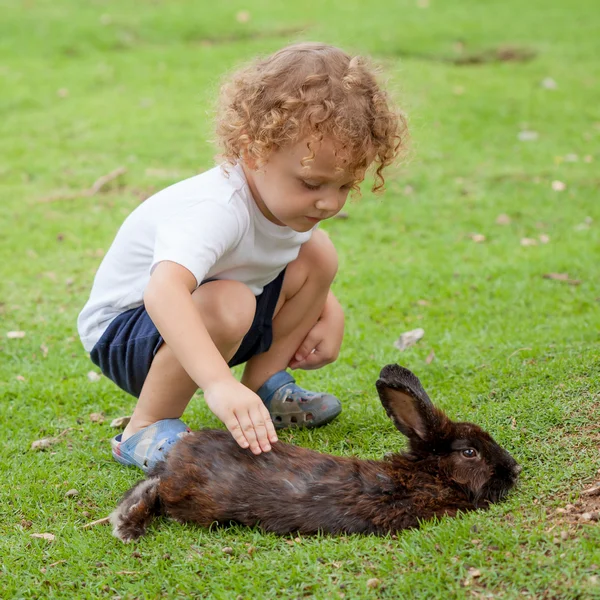 Little boy with rabbit — Stock Photo, Image