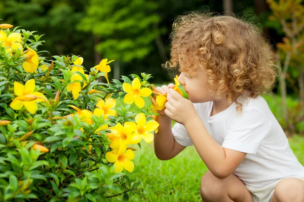 Portret van een kleine jongen met bloem in hand — Stockfoto