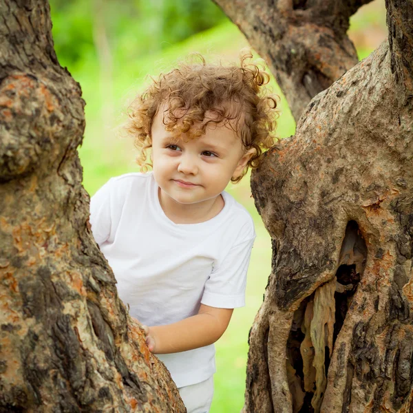 Menino sentado na árvore — Fotografia de Stock