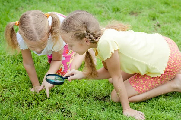 Two little girls with magnifying glass outdoors in the day time — Stock Photo, Image