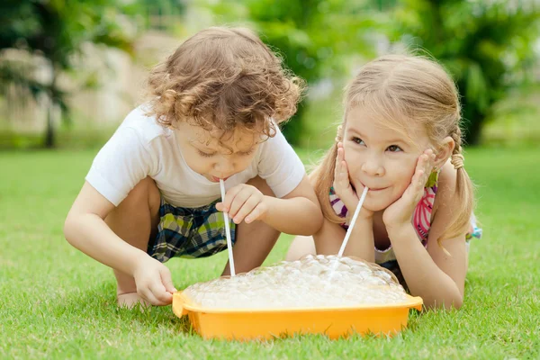 2 つの幸せな小さな子供たちは庭で遊んで — ストック写真