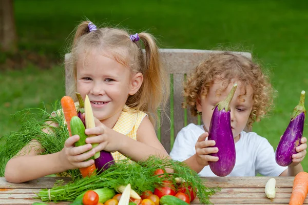 Duas crianças felizes com vegetais. Conceito de alimentação saudável . — Fotografia de Stock