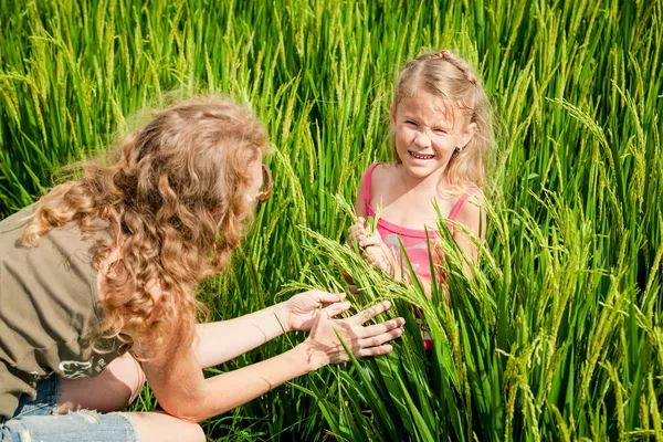 Mor och dotter på risfält — Stockfoto