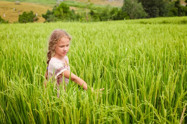 Pirinç paddies Teen kız — Stok fotoğraf