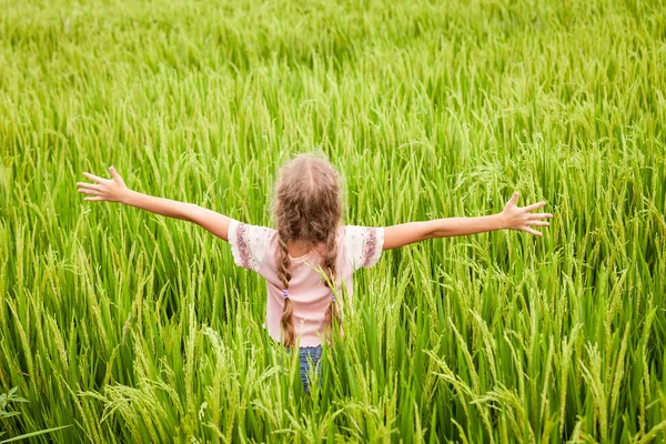 Teen flicka på risfält — Stockfoto