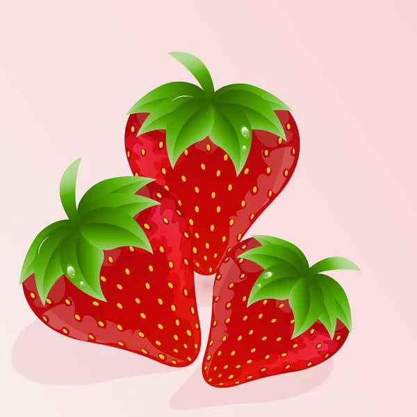 Ilustración vectorial de fresas — Vector de stock