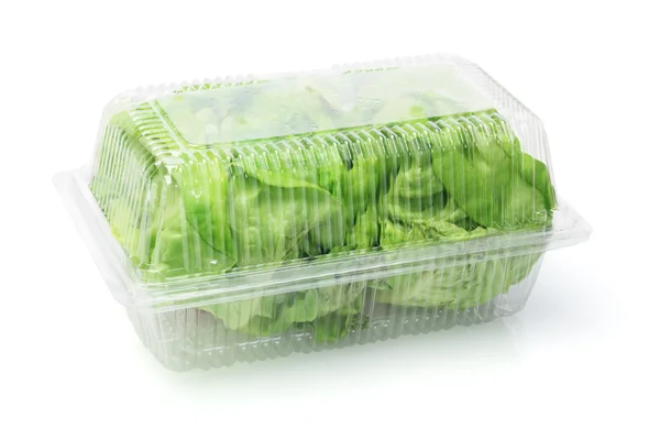 Salade de laitue fraîche — Photo