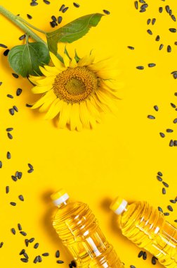 Ayçiçeği yağlı plastik şişeler, taze sarı ayçiçekleri, sarı arka planda ayçekirdeği. Düz görünüm kopyalama alanı yatıyordu. Hasat zamanı tarım petrol üretimi. Sağlıklı yağlar, yiyecek..