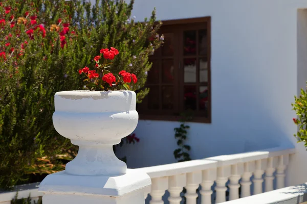 Flowerpot at a house — Stock Photo, Image