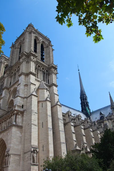 Notre Dame cathedral in Paris — Stock Photo, Image