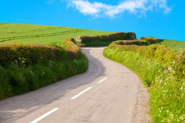 Dorp weg tussen grasveld Rechtenvrije Stockfoto's