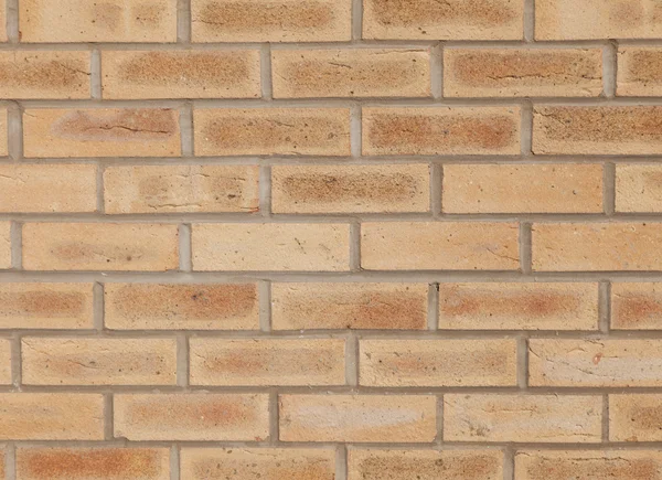 Bright brick texture — Stock Photo, Image