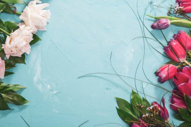 Küçük beyaz çiçekler bir tonda üzerinde yumuşak yumuşak mavi ve pembe bir arka plan açık havada yakın çekim makro. Yaz sınır şablon çiçek arka plan bahar. Hafif hava hassas sanatsal görüntü, boş alan.