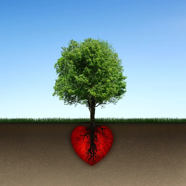 Tree and root of red heart — Stock Photo, Image