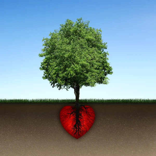 树和根红色的心 图库照片