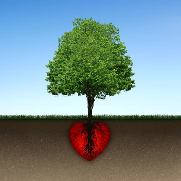 Arbre et racine de coeur rouge Images De Stock Libres De Droits