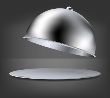 vektör gri arka plan üzerine açık tepsi. EPS 10