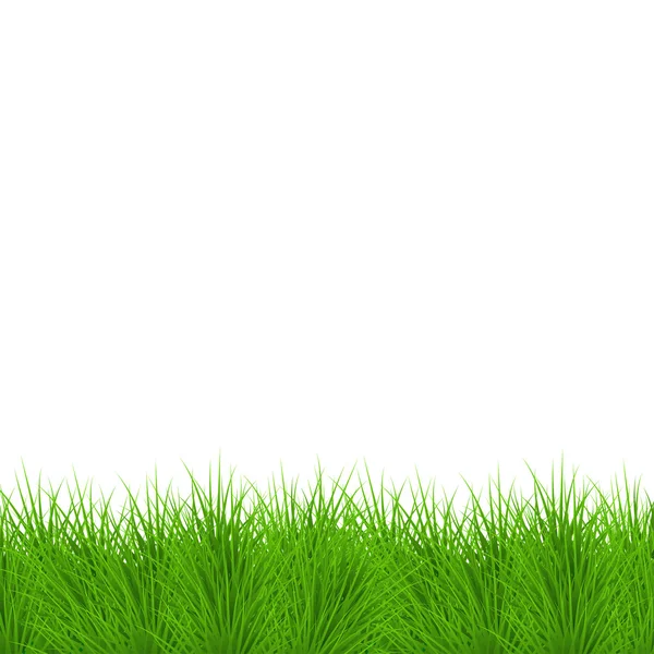 Vector moderne gras achtergrond. EPS 10 — Stockvector