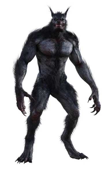 Illustration Black Werewolf — Stock Photo, Image