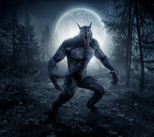 Illustration Black Werewolf Moon Forest 图库照片