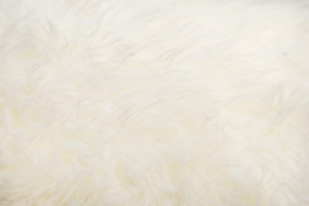 Sheepskin texture