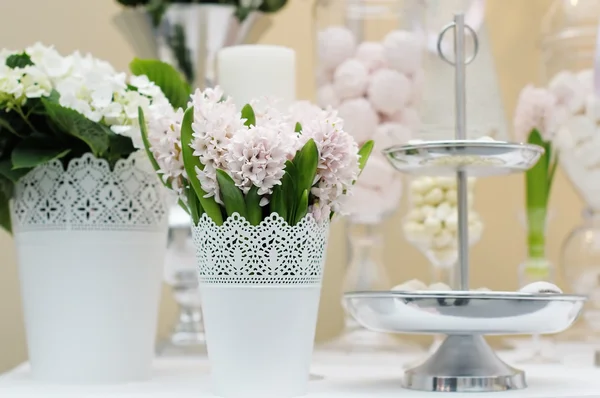 Delicious wedding sweets — Stock Photo, Image