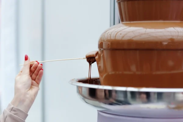 Eibisch und Schokoladenfondue-Brunnen — Stockfoto