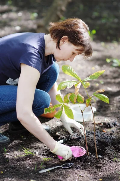 Mujer plantando plántulas, enfoque en la mujer —  Fotos de Stock