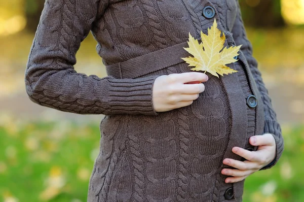 Kadın hamile karnı üzerinde akçaağaç yaprağı ile el ele tutuşarak — Stok fotoğraf