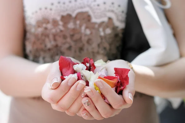Hand av en kvinna full av rosenblad, fokus på kronblad — Stockfoto