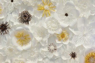 Beyaz Kağıt arka plan