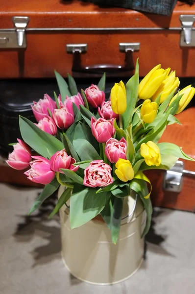 Beautiful pink and yellow tulips — Stock Photo, Image