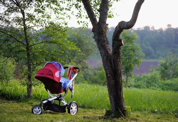 Carrinho de bebê no parque — Fotografia de Stock