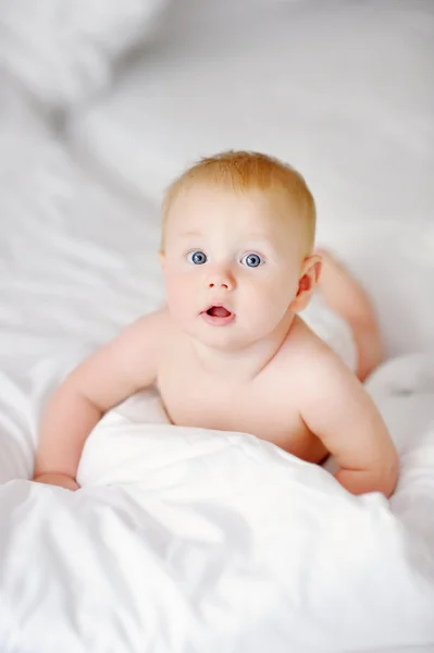 Beautiful baby boy portrait — Stock Photo, Image