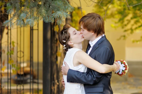 Noiva e noivo beijando — Fotografia de Stock