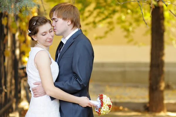 Beautiful bride and groom — Stock Photo, Image