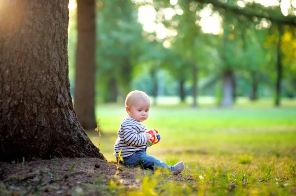 Lille dreng i den solrige park - Stock-foto
