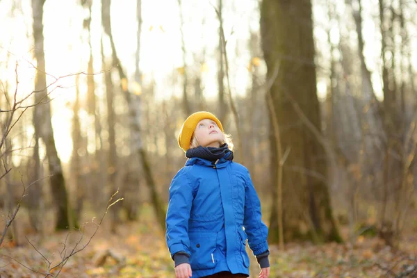 少年は秋に森の中をハイキングしている 子供は自然を探検している 子供は秋の日に遊んで楽しんでいます 子供のための屋外ゲーム — ストック写真