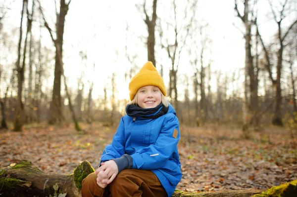 Veselé Dítě Během Procházky Lese Slunečného Podzimního Dne Školka Chlapec — Stock fotografie