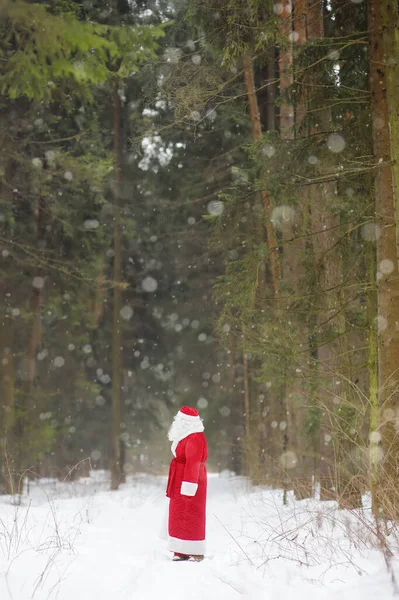 Mikulás Táska Karácsonyi Ajándékokat Sétál Havas Erdőben Animátor Vagy Szülő — Stock Fotó