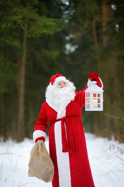 Mikulás Táska Karácsonyi Ajándékok Lámpás Keres Utat Havas Erdőben Egy — Stock Fotó