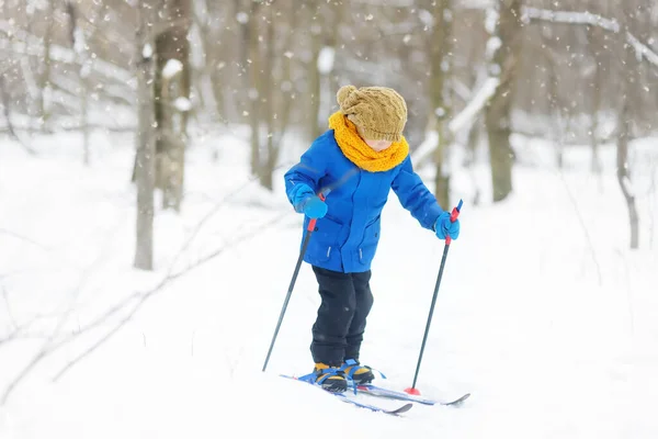 可爱的小男孩在冬天的森林里散步时正在学滑雪 冬季儿童户外活动 冬季运动用的儿童用品 体育课 优质运动服 — 图库照片